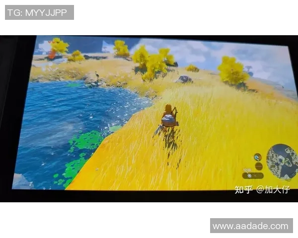 塞尔达传说：王国之泪荣获TGA年度游戏奖项引发玩家热烈讨论与期待